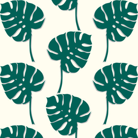 Green Monstera leaves wallpaper on white background